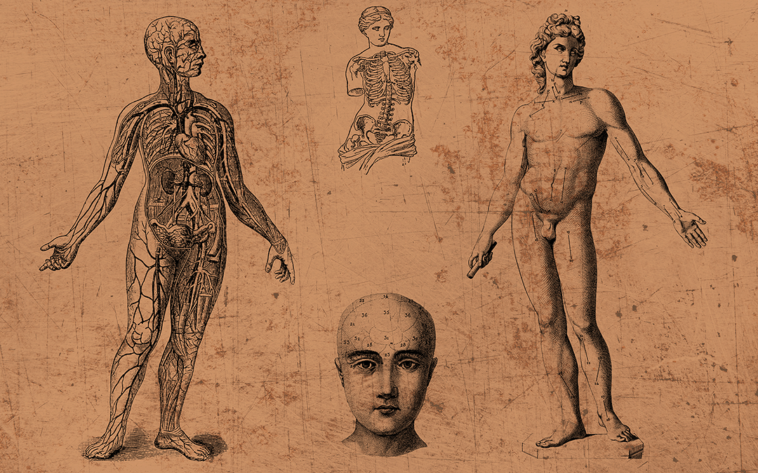 O corpo não é uma máquina. É uma partitura viva, onde dor, prazer e potência coexistem.