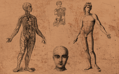 O corpo não é uma máquina. É uma partitura viva, onde dor, prazer e potência coexistem.